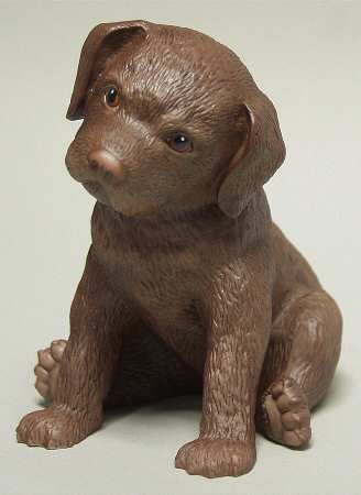 Little Puppies Little Labrador Retriever - Boxed