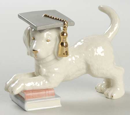 A Golden Year Of Puppies School's Out-June - Boxed