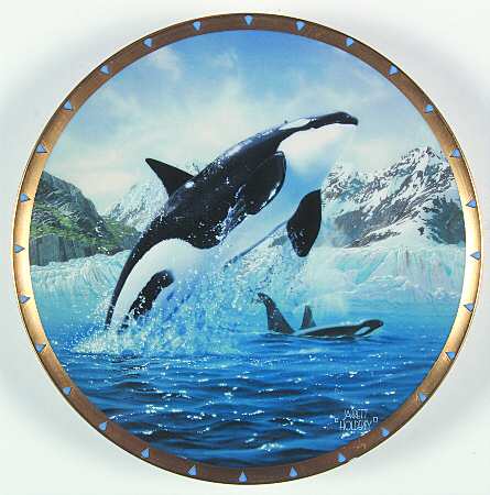 Whale Conservation by Lenox