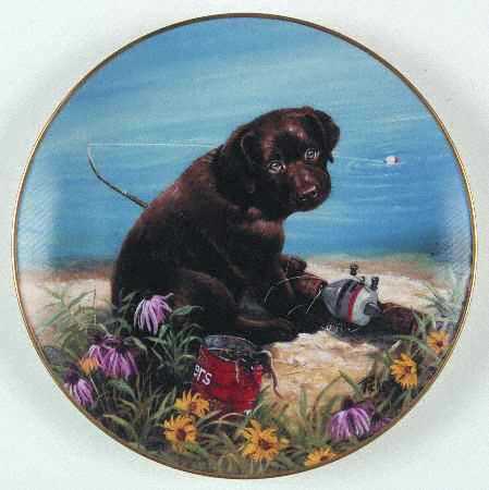 I Love Labradors Catch Of The Day - No Box