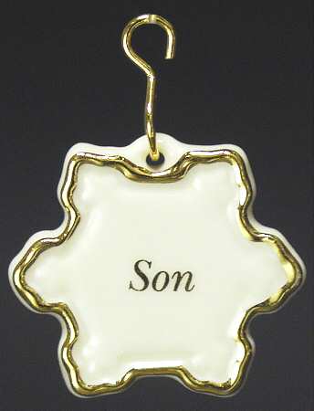 Tree Charmer Ornaments Son Charm-Snowflake - No Box