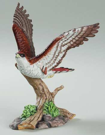 Birds of Prey Winged Pursuit-Red Tail Hawk - Boxed