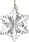 Annual Optic Ornament 2019 Optic Snowflake - Boxed