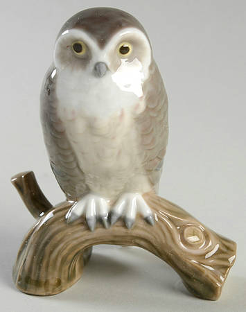 Birds Hawk Owl - Boxed