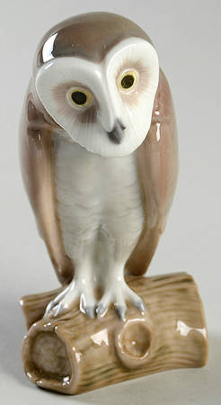 Birds Barn Owl - Boxed