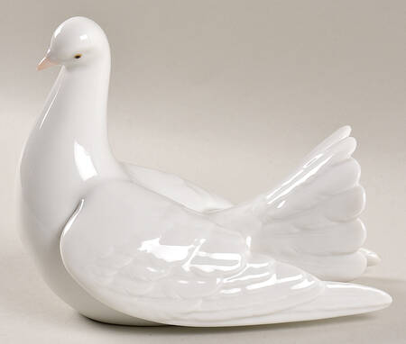 Birds Proud Dove - Boxed