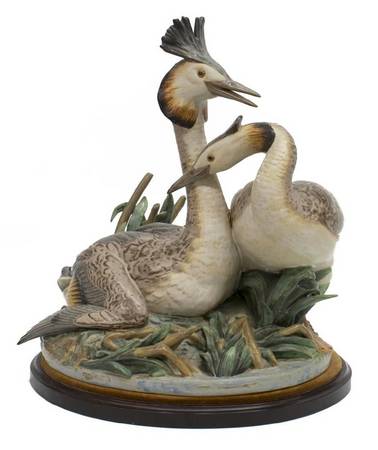 Birds Divers - Boxed