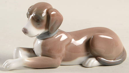 Animals-Domestic Relaxing-Dog - Boxed