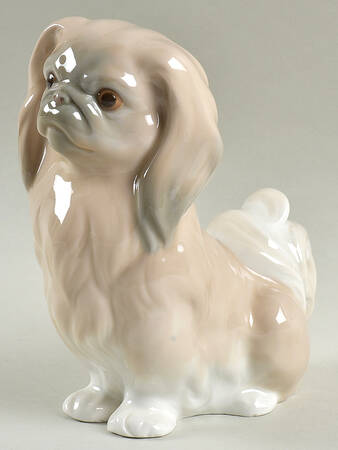 Animals-Domestic Pekinese Sitting - No Box