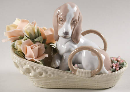 Animals-Domestic Basset & Bloom - Boxed