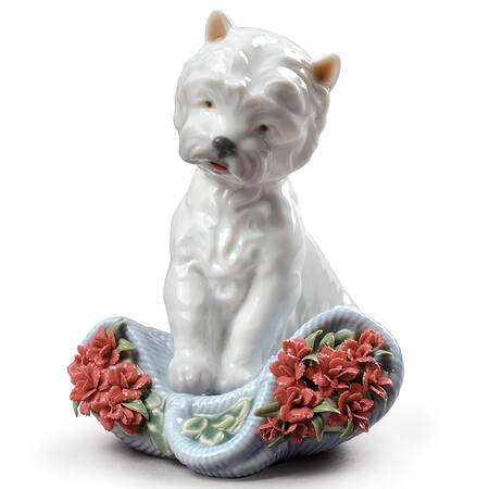 Animals-Domestic Playful Character (Carnations) - Boxed