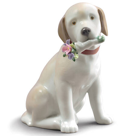 Animals-Domestic This Bouquet Is For You - With Box