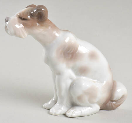 Animals-Domestic Vagabond Dog - No Box