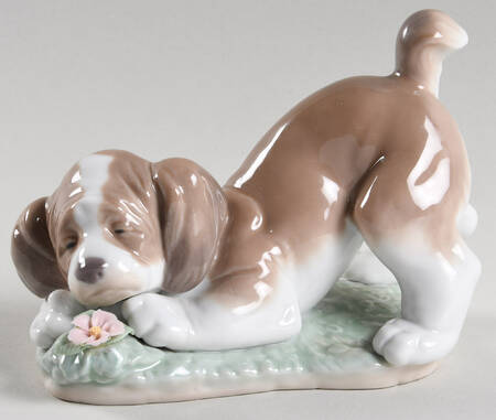 Animals-Domestic A Sweet Smell - No Box