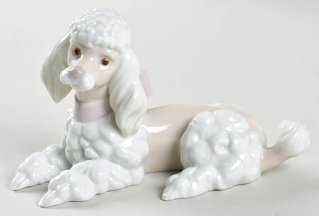 Animals-Domestic Poodle - No Box