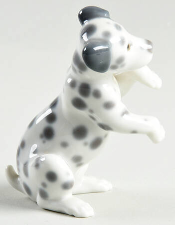 Animals-Domestic Dalmatian-Begging - Boxed