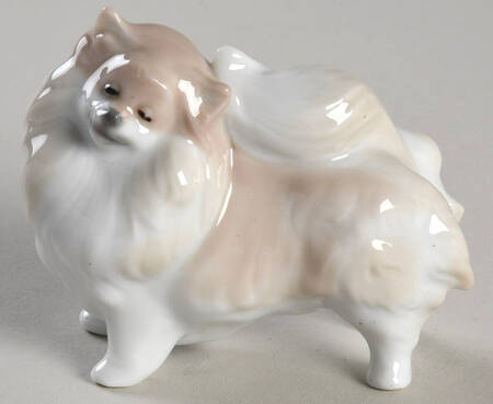 Animals-Domestic Pomeranian - Boxed
