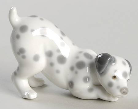 Animals-Domestic Dalmatian-Playing - No Box