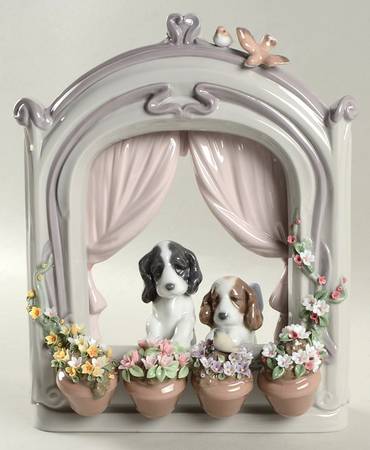 Animals-Domestic Please Come Home! - Boxed