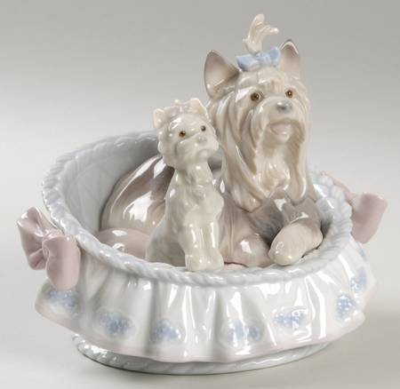 Animals-Domestic Our Cozy Home - Boxed
