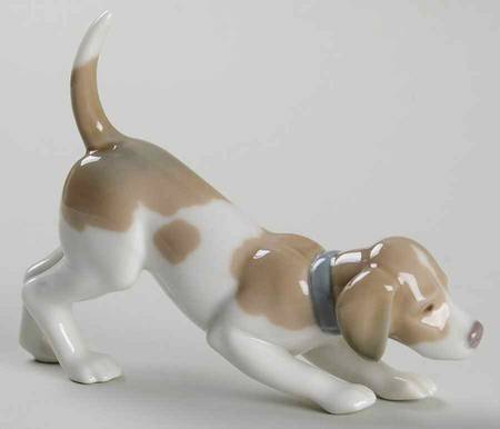 Animals-Domestic On The Scent - Boxed