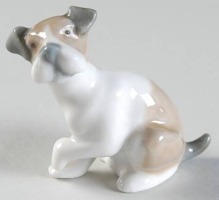 Animals-Domestic Curiosity - Boxed