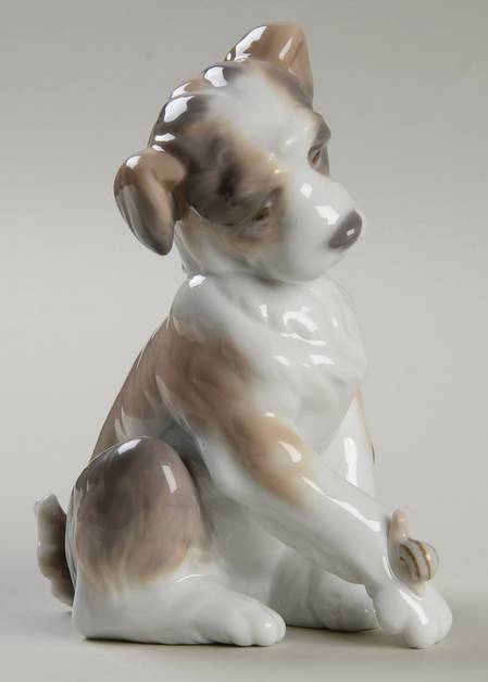 Animals-Domestic New Friend - Boxed