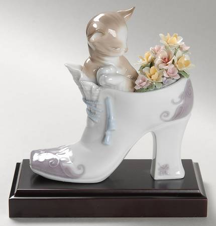Animals-Domestic A Cozy Fit - Boxed