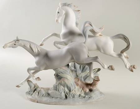 Animals-Domestic Horses Galloping - Boxed