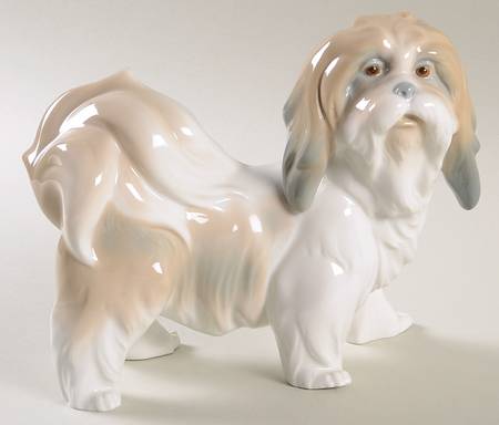 Animals-Domestic Dog - No Box