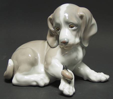 Animals-Domestic Dog & Snail - No Box