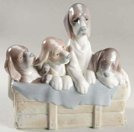 Animals-Domestic Pups In Box - No Box