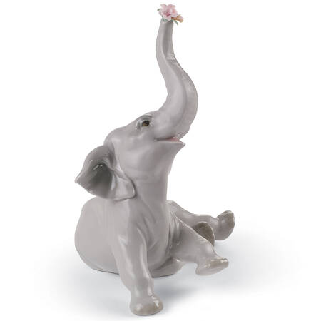 Animals-Wild Baby Elephant With Pink Flower - Boxed