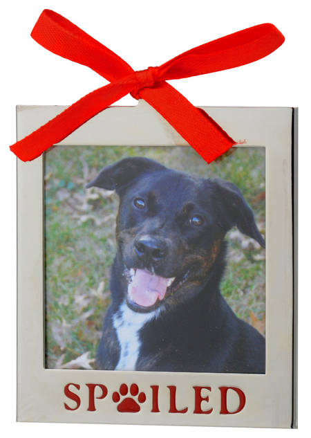Frame Charm Ornaments Spoiled (Pawprint) Frame - Boxed