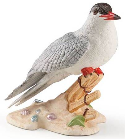 Sea Birds Common Tern - With Box