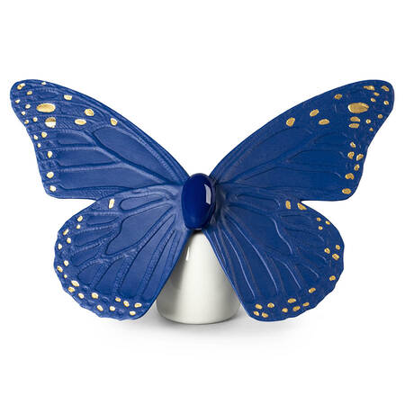 Butterflies Butterfly (Blue-Gold) - Boxed