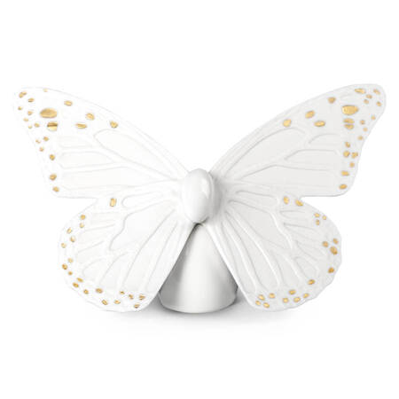 Butterflies Butterfly (White-Gold) - Boxed