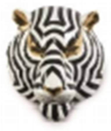 Fierce Portraits Collection Tiger Mask - With Box