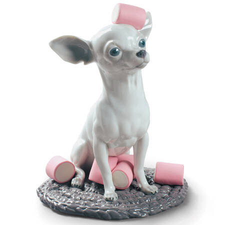 Dog and Candy Collection Chihuahua With Marshmallows - Boxed