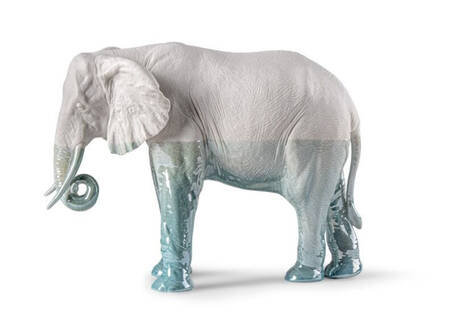 Underwater Elephant - Boxed