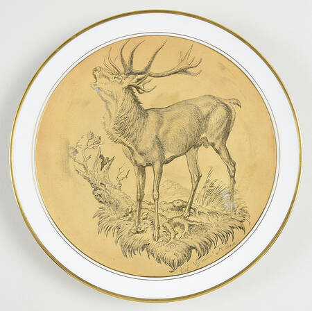 Wildlife Elk - No Box