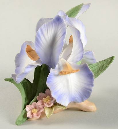 Legendary Flowers of Orient Iris - No Box