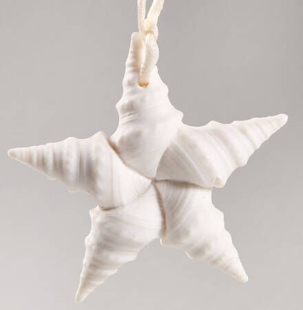 Margaret Furlong Ornaments Catch A Falling Star - Boxed