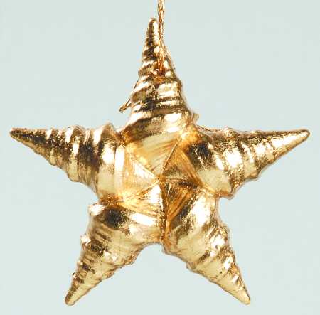 Margaret Furlong Ornaments Catch A Falling Star-Gold - Boxed