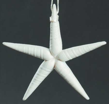 Margaret Furlong Ornaments A Star In The Night - Boxed