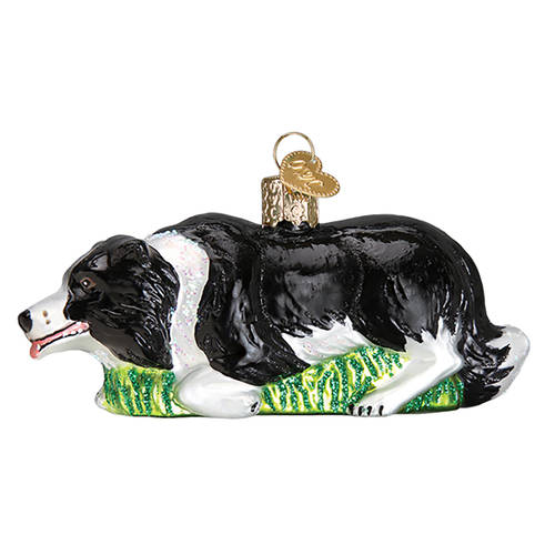 Animals Herding Border Collie - No Box