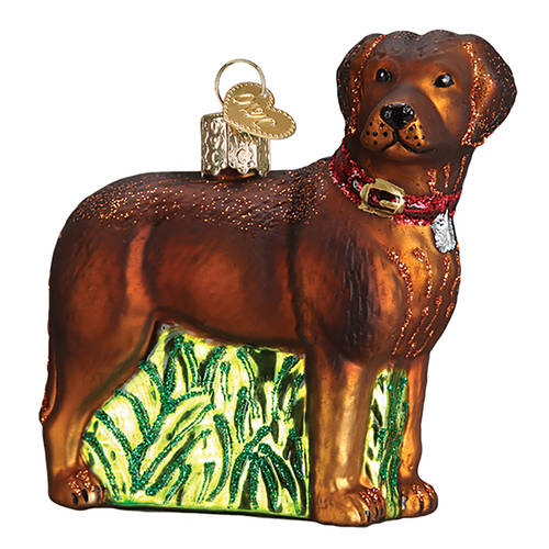 Animals Standing Chocolate Lab - No Box