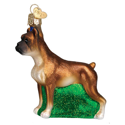 Animals Boxer Dog - No Box