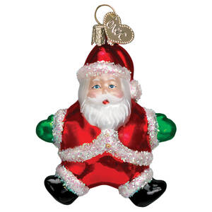 Santa and Mrs Claus