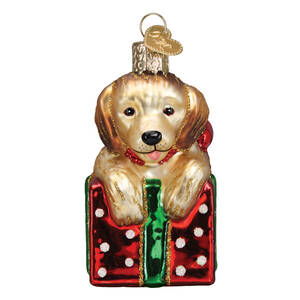 Old World Christmas Golden Puppy Surprise - No Box Nb3277